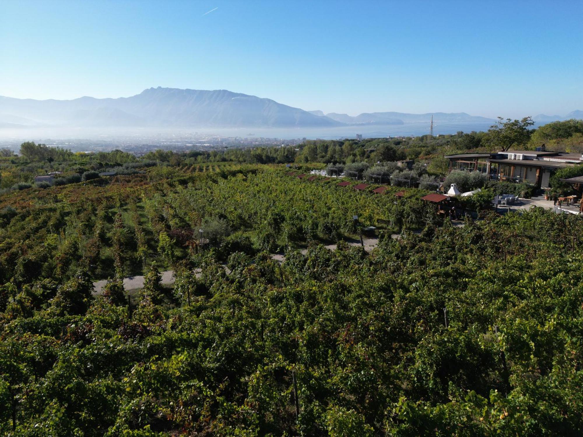 Vesuvio Inn Bed & Wine Experience Boscotrecase Exteriör bild