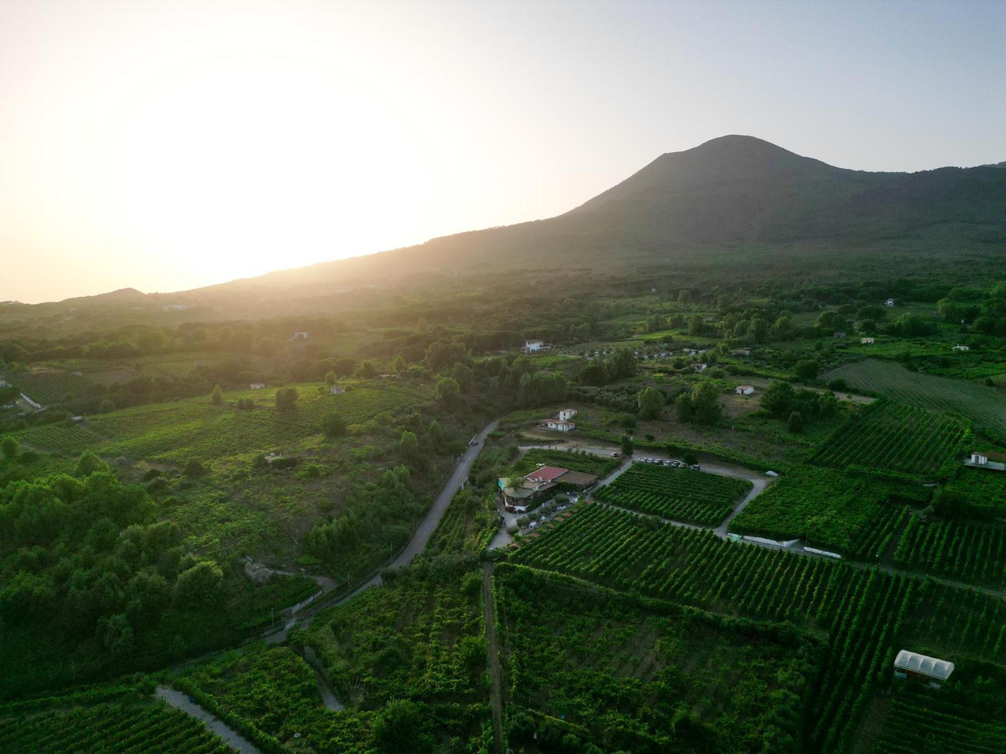 Vesuvio Inn Bed & Wine Experience Boscotrecase Exteriör bild